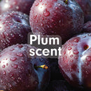 Softsoap Plum Scent Moisturizing Body Wash, 12oz (354ml)