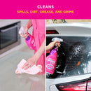 The Pink Stuff - The Miracle Window & Glass Cleaner, 25.4oz.