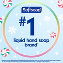 Softsoap Frost Mint Peppermint Scent Liquid Hand Soap, 11.25oz