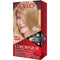 Revlon ColorSilk Beautiful Color™ Hair Color - 70 Medium Ash Blonde