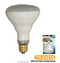 60 Watts Reflector Flood Light Bulb 120V R30