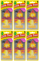 Little Trees Sunset Beach Air Freshener, 1 ct. (Pack of 6)