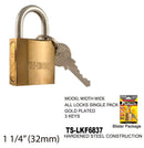 High Security Padlock With Keys, Gold-Plated, 32 mm