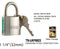 High Security Padlock With Keys, Chrome-Plated, 32 mm