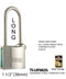 High Security Long Padlock With Keys, Chrome-Plated, 40 mm