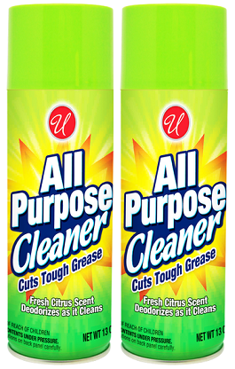All Purpose Cleaner Fresh Citrus Scent, 13 oz. (Pack of 2)