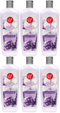 Lavender & Vanilla Light Soothing Fragrance Lotion, 20 fl oz. (Pack of 6)