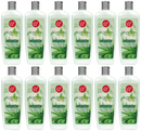 Aloe Vera Light Soothing Fragrance Lotion, 20 fl oz. (Pack of 12)